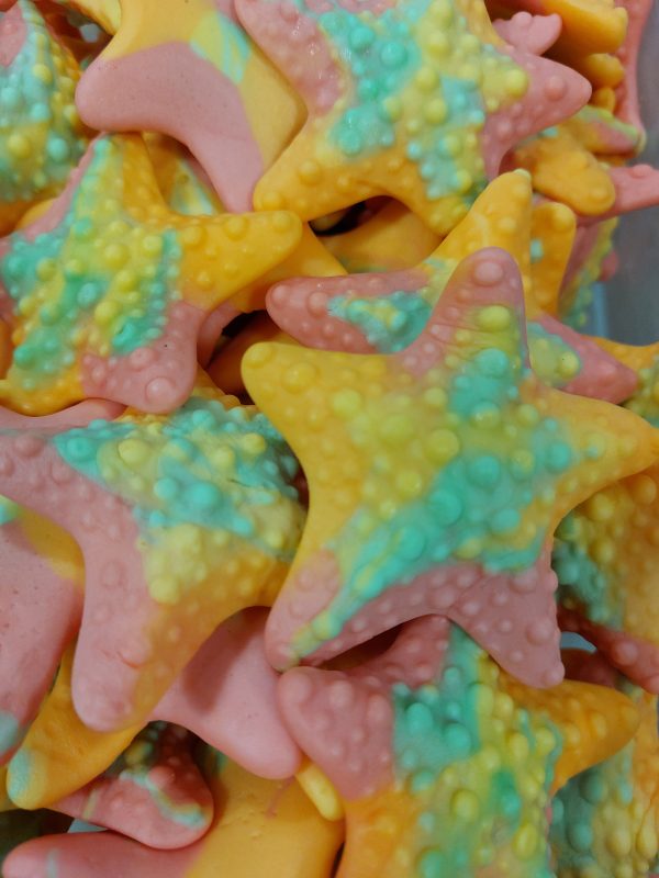 Estrelas do mar